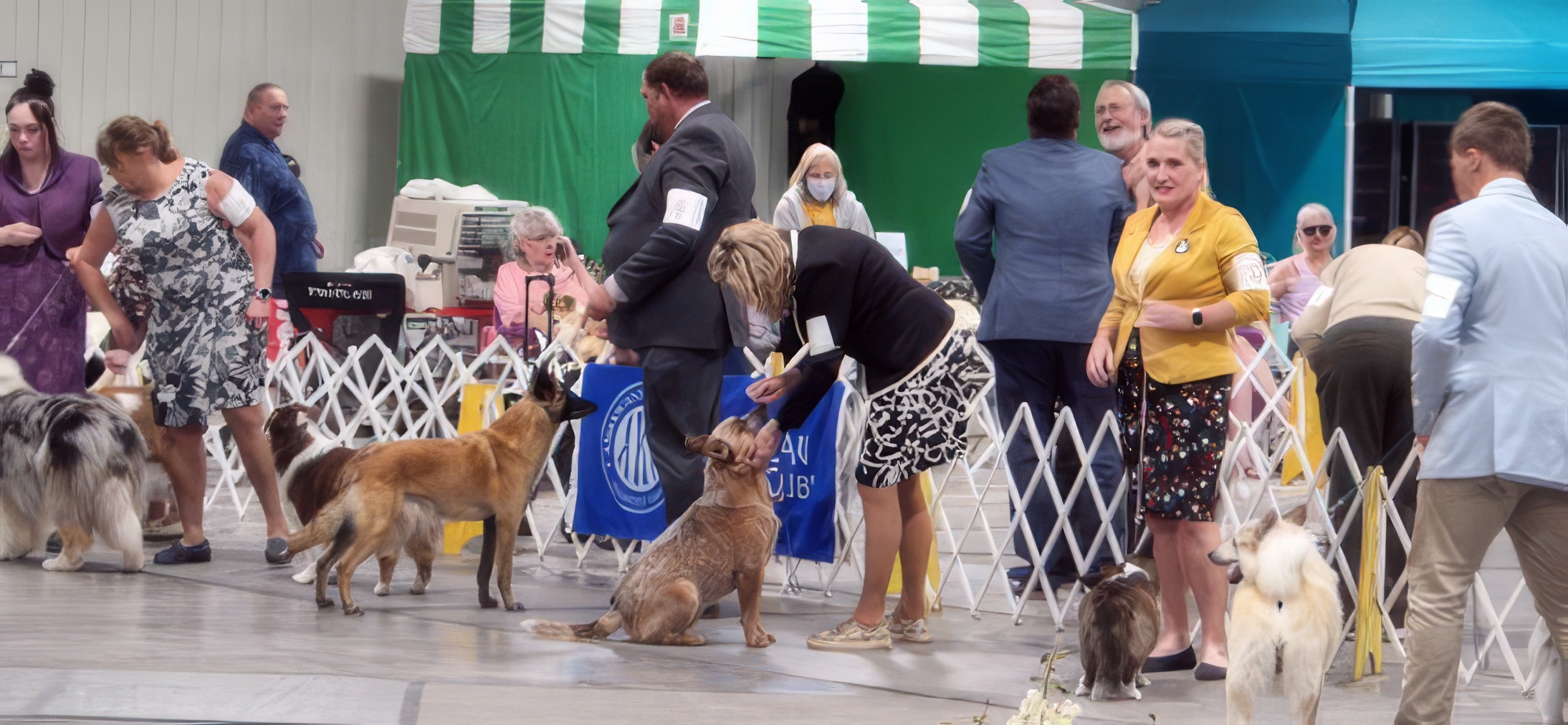 2022 Annual Show